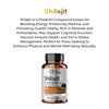 Biogainz Shilajit 60 Cápsulas