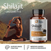 Biogainz Shilajit 60 Cápsulas
