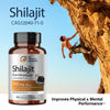 Biogainz Shilajit 60 Cápsulas